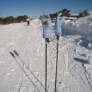 ski gloves source image